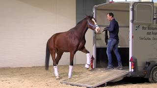 Luuk Teunissen - Verladetraining auf er Pferd & Jagd 2018 von Clipmyhorse