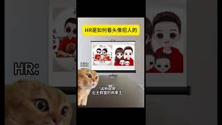 HR是如何看头像招人的 #喵不可言 #搞笑 #喵 #猫meme #cat #头像 #招人#shorts #面试