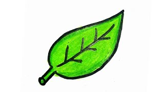 How to draw a simple and sober leaf || easy and simple || for kids || Crafty people
