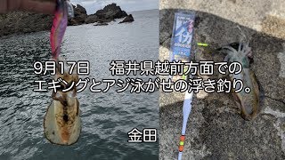 9:17　福井県越前方面でのエギングとアジ泳がせの浮き釣り