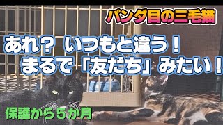 和解が成立か? 以前の敵対関係がウソのよう。晴れた外を見てると、大らかになるのでしょうか。それにしても「大きな耳」です。