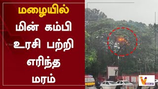 மழையில் மின் கம்பி உரசி பற்றி எரிந்த மரம் | Puducherry