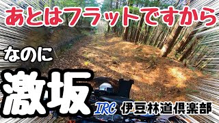 【林道】激坂の上り下りで何があったのか？SL230で走る伊豆の林道ツーリング/Forest roads in IZU/Japanese forest roads touring