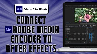 How To Connect Adobe Media Encoder to After Effects (easy)
