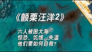 《颤栗汪洋2》影视：6人下海潜水，却忘记放游艇扶梯，结果只有1人生还