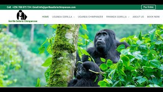 Set static Front page in WordPress. Display a custom home page.