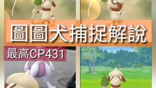 [Pokemon  GO]精靈寶可夢圖圖犬捕捉解說