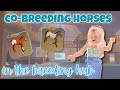 Co-Breeding Horses in the BREEDING HUB With Random People! | Wild Horse Islands