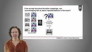 Can neuroimaging tell us about representations in the brain? | Dr. Adina Roskies (Part 3 of 4)