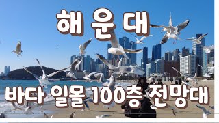 해운대 백사장과 일몰/100층 엘시디 엑스 더 스카이 전망대