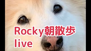 Rocky朝散歩live