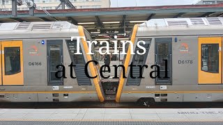 Trains at Sydney Central Station