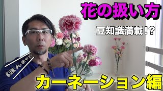 華道家 細川康秀（Kosyu Hosokawa）花の扱い方【カーネーション編】