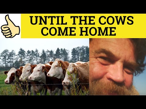 What does it mean when the cows come home?