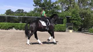 Engaging a spooky horse with Dan Sherriff | Horse\u0026Rider and Baileys Horse Feeds