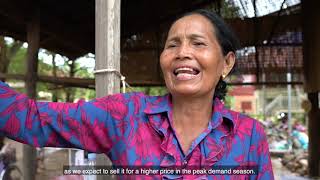 Women’s community development  In Stung Keo Kampot | ស្ទឹងកែវ-កំពត