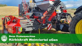 Kürbiskraft Weinviertel erntet mit neuer Maschine