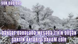 DƏHŞƏT. Qəbələdə meşədə itkin düşən şəxsin axtarışı davam edir