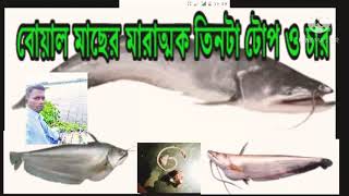 বোয়াল মাছের মারাত্মক তিনটা টোপ ও চার | Three bites of boiled fish | उबली हुई मछली के तीन काटने#fish