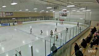 Aurora Tigers U9 MD vs Niagara-on-the-Lake Wolves