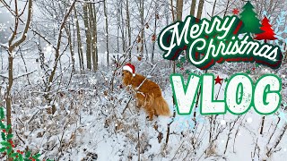 Christmas Vlog