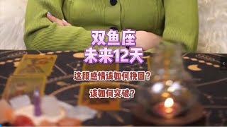 双鱼座，未来12天，这段感情该如何挽回？该如何突破？ #情感塔罗 #塔罗测试 #塔罗牌