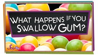 What Happens If You Swallow Gum?