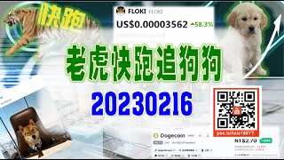 亞洲我最驫20230216老虎快跑追狗狗