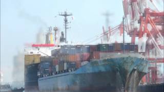 MSC CONTAINER SHIP on NAGOYA JAPAN