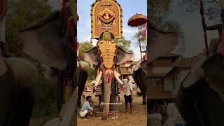 നന്തിലത്ത് ഗോപാലകൃഷ്ണൻ || കോട്ടോൽ പൂരം 2025 || #elephant #pooram #trending #shorts #viral #2025