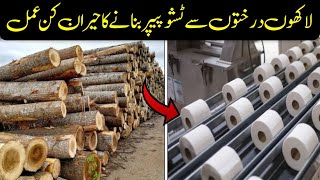 How Tissue Paper is Made in a Factory Using So Many Trees | Tissue Paper Making Process You Won't