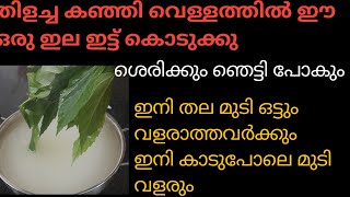 കഞ്ഞി വെള്ളം ഇനി ആരും കളയല്ലേ തിളച്ച കഞ്ഞി വെള്ളത്തിൽ ഈ ഒരു ഇല ചേർത്ത് കൊടുക്കു ഞെട്ടി പോകും