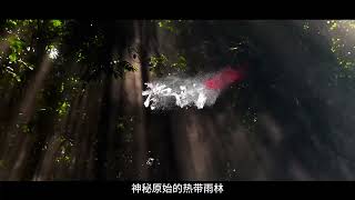 这里有着原始的热带雨林，神秘的黎族部落，海南岛。Here, there are pristine tropical rainforests, mysterious Li ethnic villages