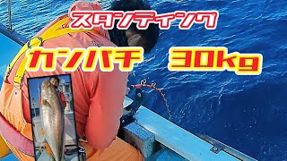 室戸泳がせ釣り カンパチ 30kg140cm  2024/12/09