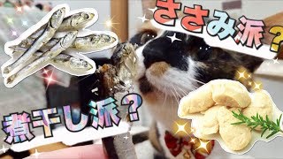 猫たちにささみ＆煮干しをあげてみる