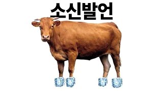 웃긴 짤들 104편