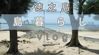 島暮らし/vlog～徳之島～