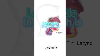 LARYNGITIS IN SPANISH | Medical Consecutive Interpreting