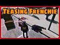 Teasing Frenchie Elanip Highlights RedlineRP GTA 5 Roleplay