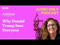 Why Donald Trump Sues Everyone | Amicus With Dahlia Lithwick | Law, justice, and the courts