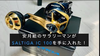 安月給のサラリーマンがSALTIGA IC 100を購入した。