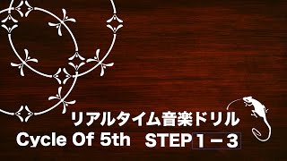 【Cycle of 5th 1-3】リアルタイム音楽ドリル「Dominant Motionを答えましょう」（３秒）