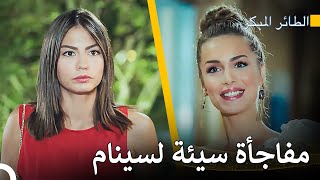 رحلة سينام للعثور على الحب #26 - مسلسل الطائر المبكر