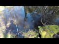 upėtakių žvejyba small river trout fishing ep.1