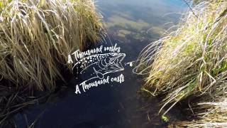 Upėtakių žvejyba - Small river trout fishing Ep.1