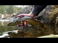 fly fishing with the most effective streamer pattern tie and catch ep. 1