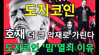 [ 도지코인 전망 ] 호재 더 큰 악재로 가린다 !! 도지코인 '밈'열쇠 이유  #도지코인 #도지 #도지코인대응전략 #도지코인하락 #도지코인급락 #도지코인호재 #밈코인 #암호화폐