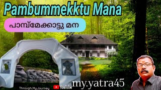 Pambummekkattu Mana and the cult of Snake worship in Kerala #myyatra45