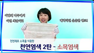 천연재료로 은은하게! - 천연염색 2탄 : 소목염색