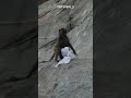 Mischievous monkey runs off with Hajj pilgrim's clothing